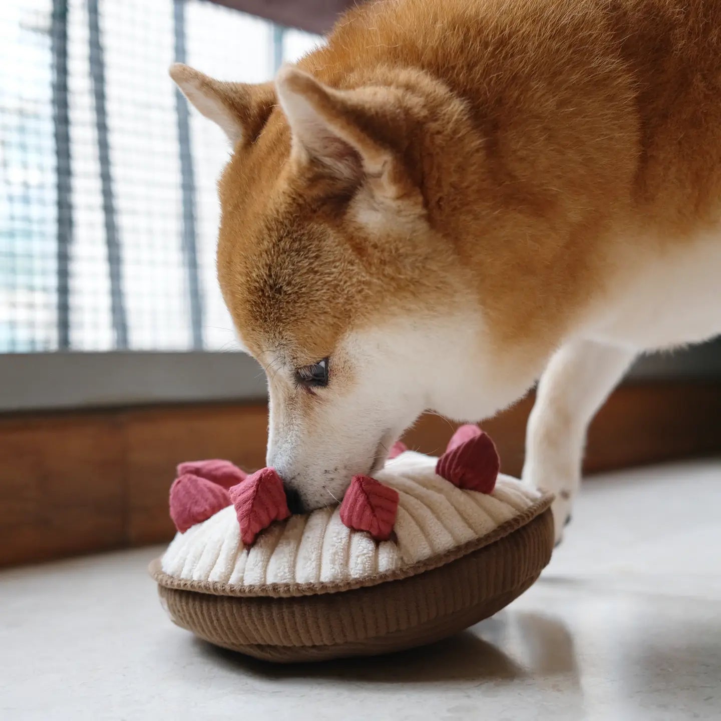 BERRY PIE 🍓 – La tarte gourmande de fouille pour chien - LAMBWOLF - DOG DéliCAT