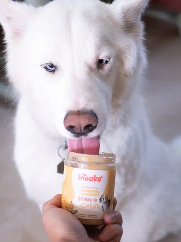 Beurre de Cacahuète pour Chien - Banane et Graine de Lin - INOOKO - DOG DéliCAT