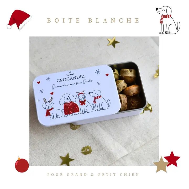 Boîte de Noël pour chien – Biscuits naturels assortis 50 g - CROCANDIZ - DOG DéliCAT