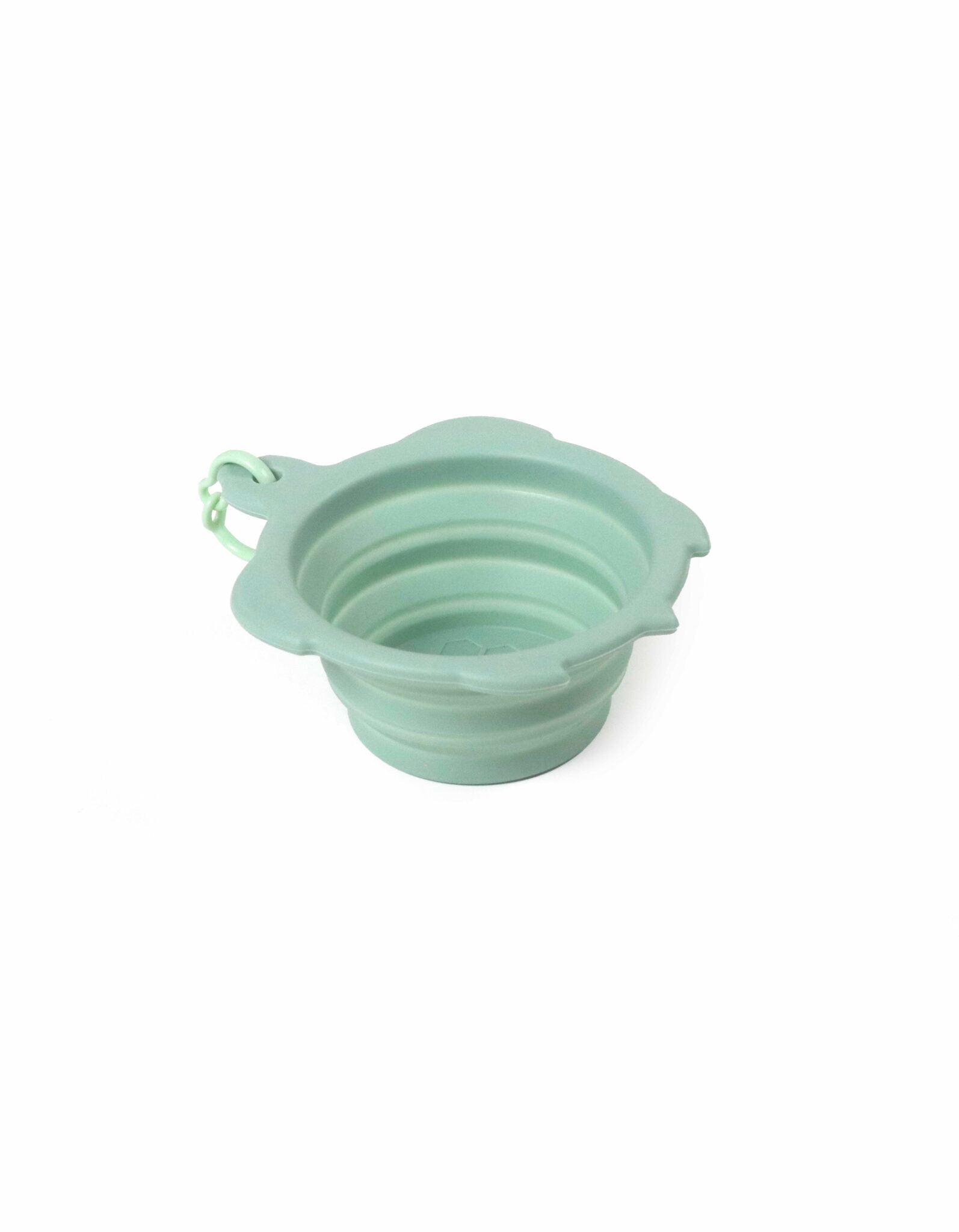 Bol de voyage tortue – silicone pliable 200 ml 🐾 - UNITED PETS - DOG DéliCAT