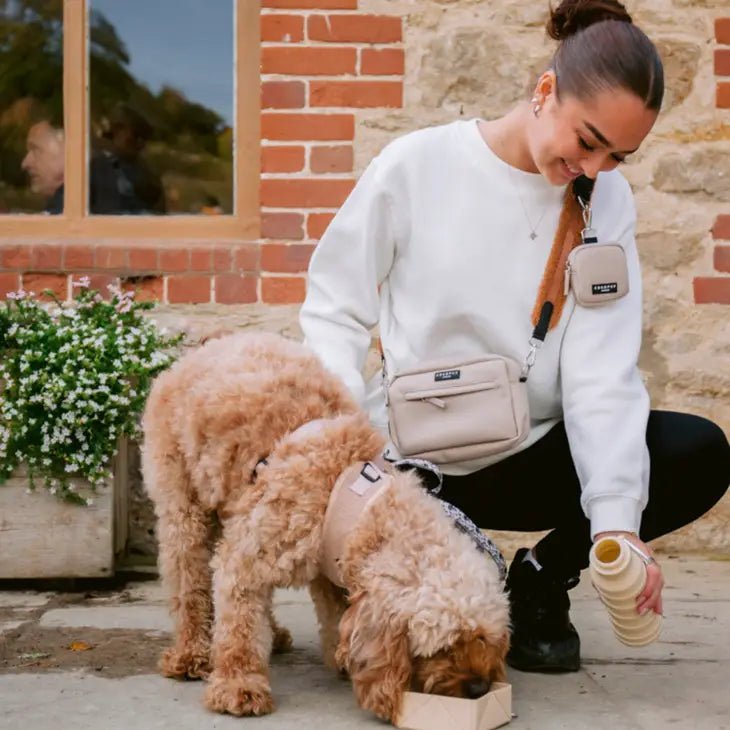 Bouteille d’eau pliable pour chien nude – Cocopup London – DOG DéliCAT