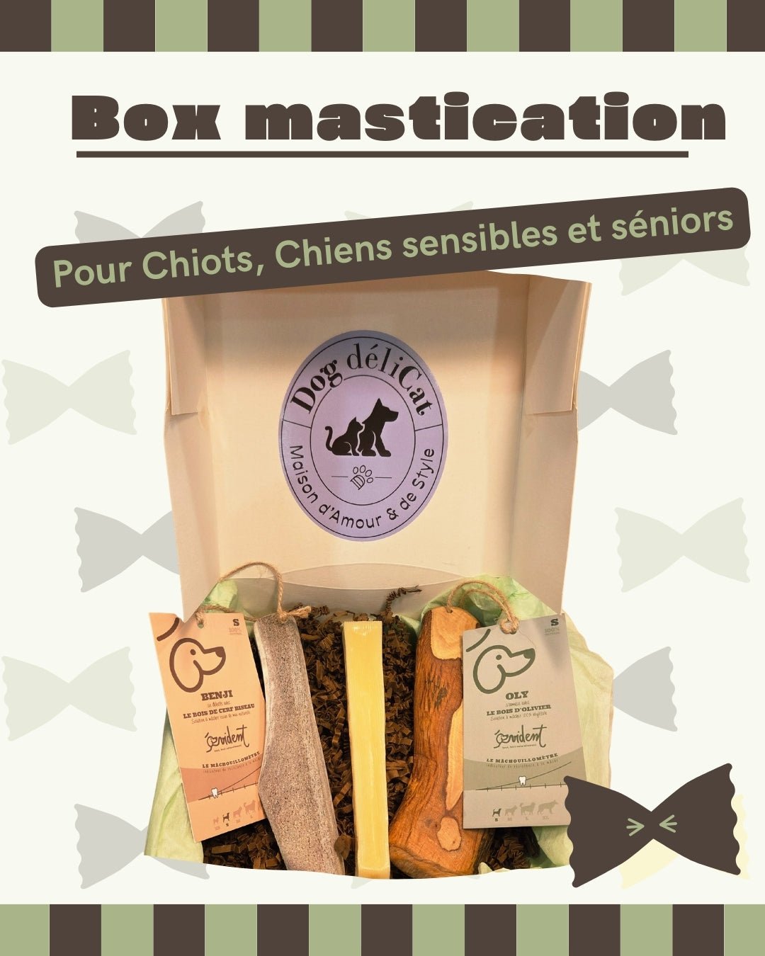 Box mastication douce – chiots, seniors & chiens sensibles - DOG DéliCAT - DOG DéliCAT