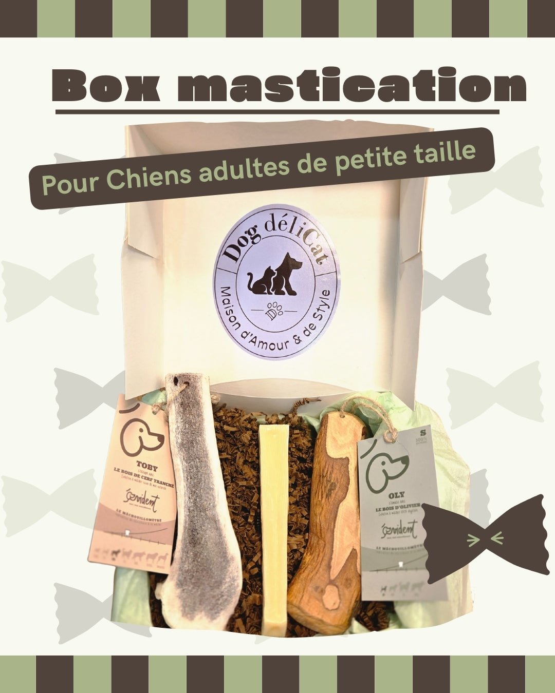 Box mastication naturelle et longue durée – Petits Chiens - DOG DéliCAT - DOG DéliCAT
