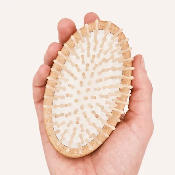 Brosse de massage en bois pour chien Teo - CAFIDE - DOG DéliCAT