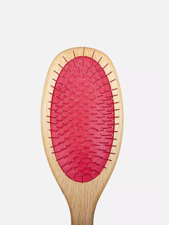 Brosse double face en bois de hêtre - DEXTER & MANGO - DOG DéliCAT