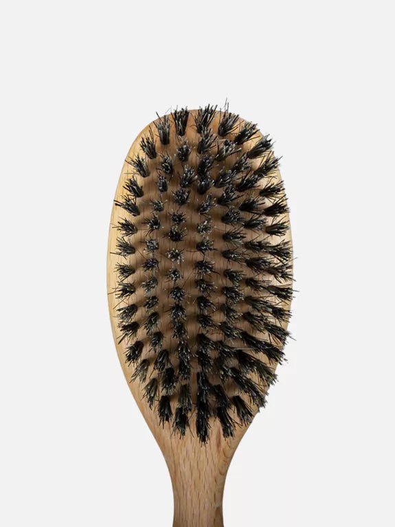 Brosse double face en bois de hêtre - DEXTER & MANGO - DOG DéliCAT