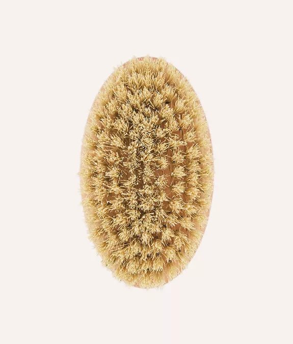 Brosse pour chien à poils courts en bois de hêtre - CAFIDE - DOG DéliCAT