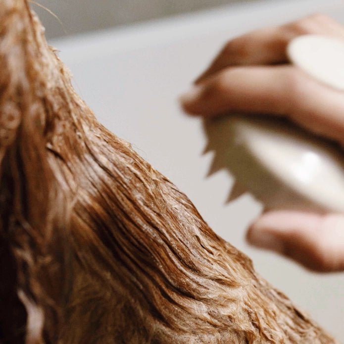 Brosse pour Chien pour la Douche en Silicone - TOUTOU PETCARE - DOG DéliCAT
