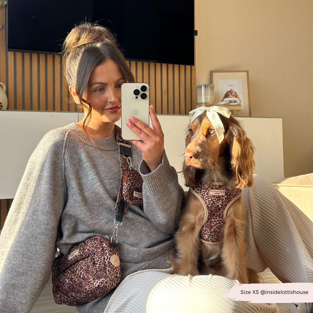 Pochette à friandises pour Chiens - Léopard matelassé