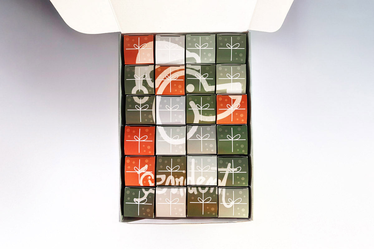 calendrier de l’avent chien 2025 friandises naturelles evident intérieur