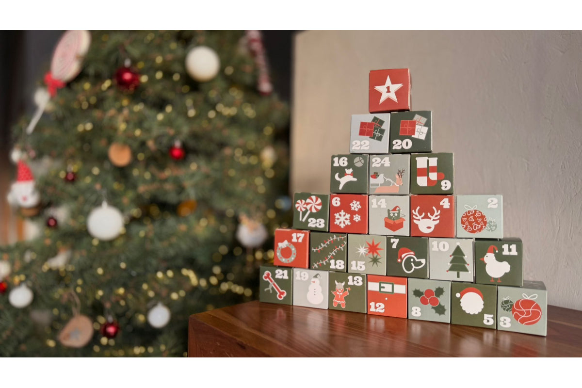 calendrier de l’avent chien 2025 friandises naturelles evident montage