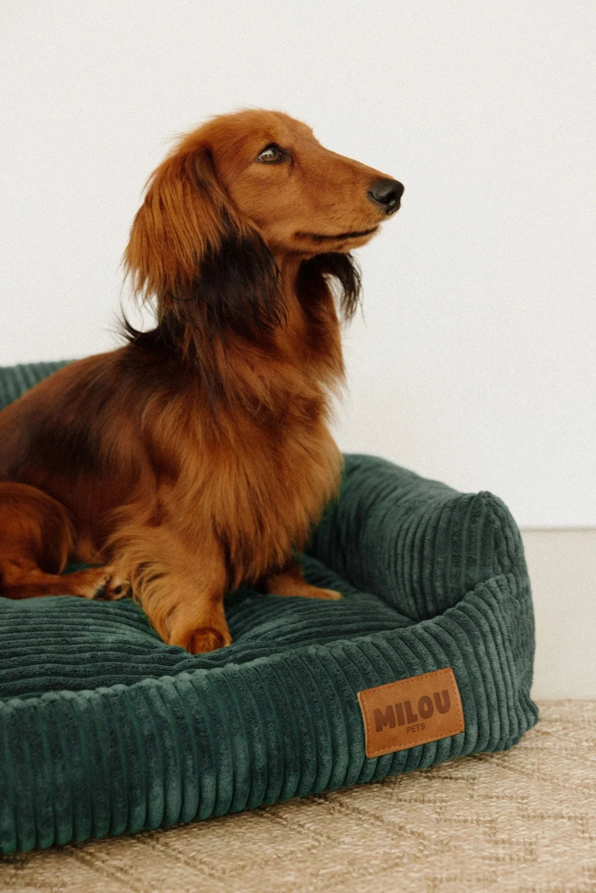 Canapé pour chien orthopédique Simone – Milou Pets – DOG DéliCAT