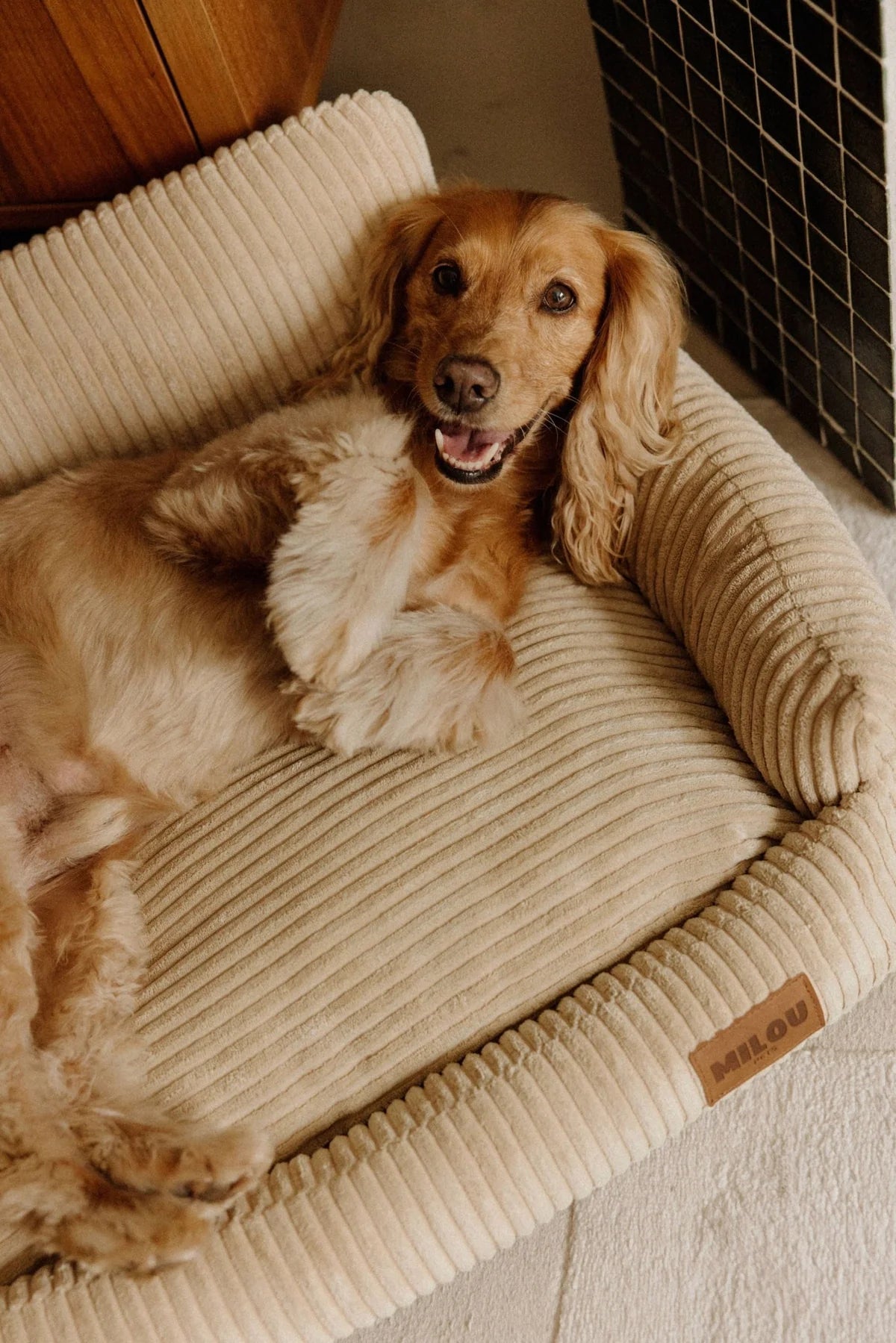 Canapé pour chien orthopédique Simone – Milou Pets – DOG DéliCAT