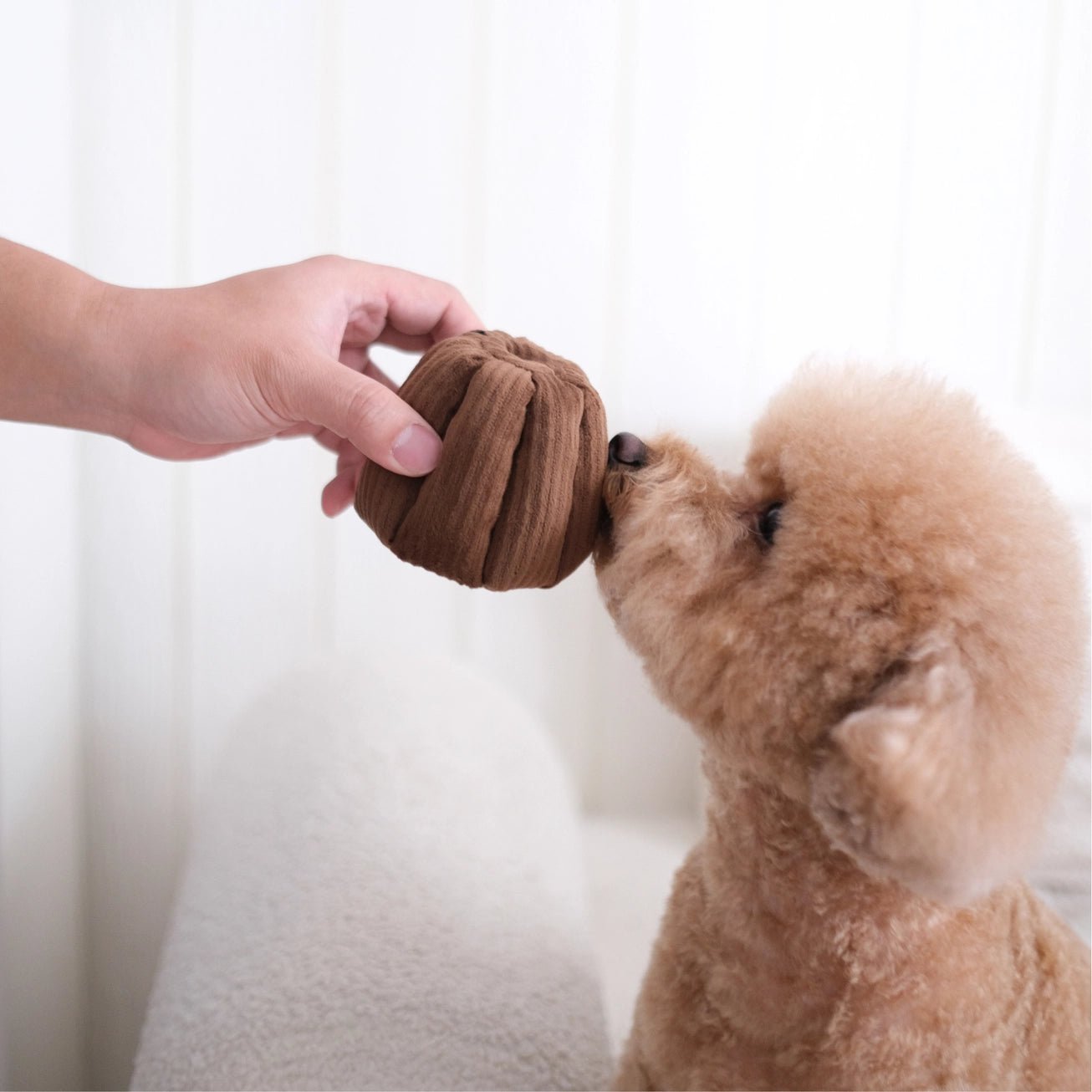 🤍 CANELE – Le jouet de fouille chic pensé pour les petits chiens - LAMBWOLF - DOG DéliCAT