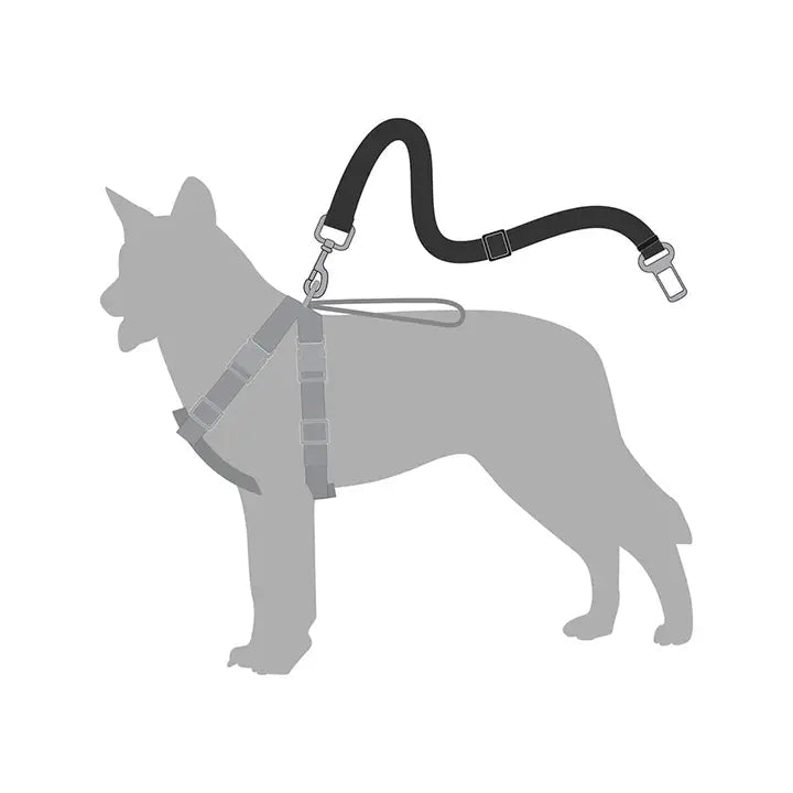 Ceinture de sécurité pour chien réglable Croci – Croci – DOG DéliCAT