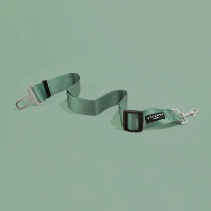 ceinture de sécurité pour chien voiture CocoPup London – CocoPup London – DOG DéliCAT