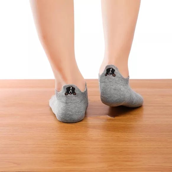Chaussettes Basses Dog avec Languette – Confort et Style au Quotidien - TITES CHAUSSETTES - DOG DéliCAT