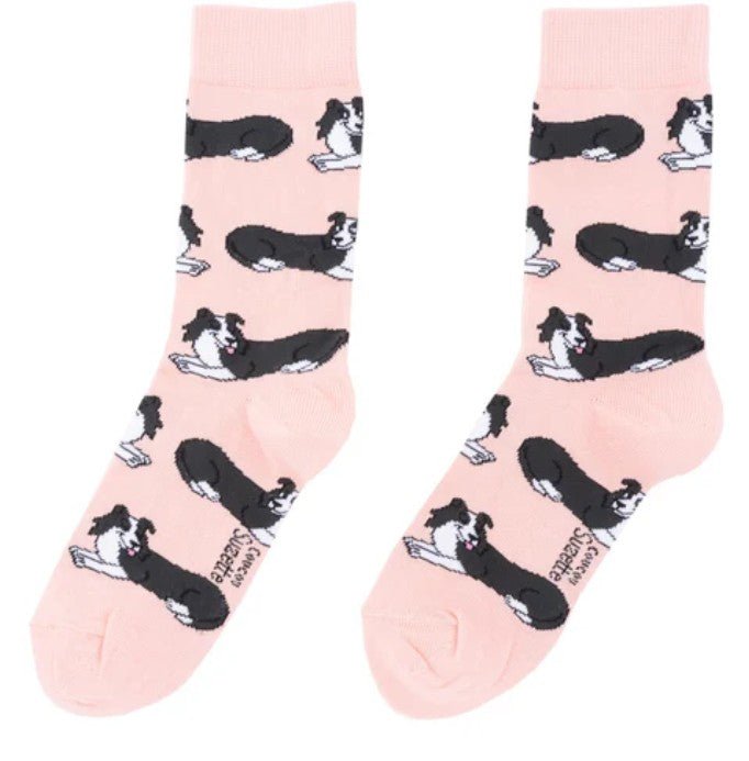 Chaussettes Border Collie – Graphiques & ultra douces - COUCOU SUZETTE - DOG DéliCAT