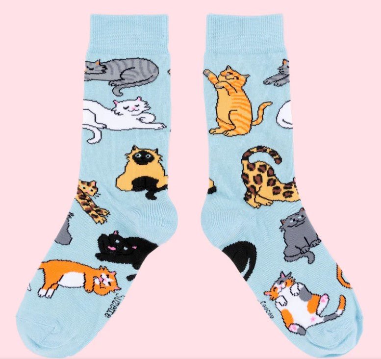 Chaussettes Miaou - Coucou Suzette - DOG DéliCAT