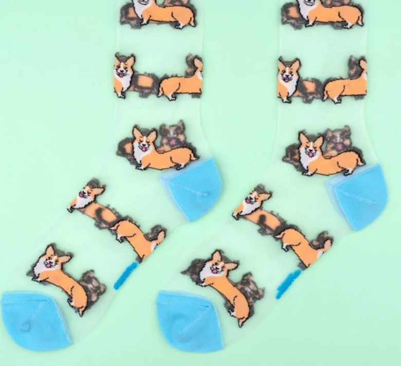 Chaussettes transparentes à motifs Corgi Coucou Suzette – Coucou Suzette – DOG DéliCAT