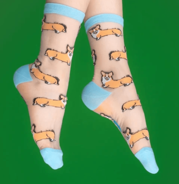 Chaussettes transparentes à motifs Corgi Coucou Suzette – Coucou Suzette – DOG DéliCAT