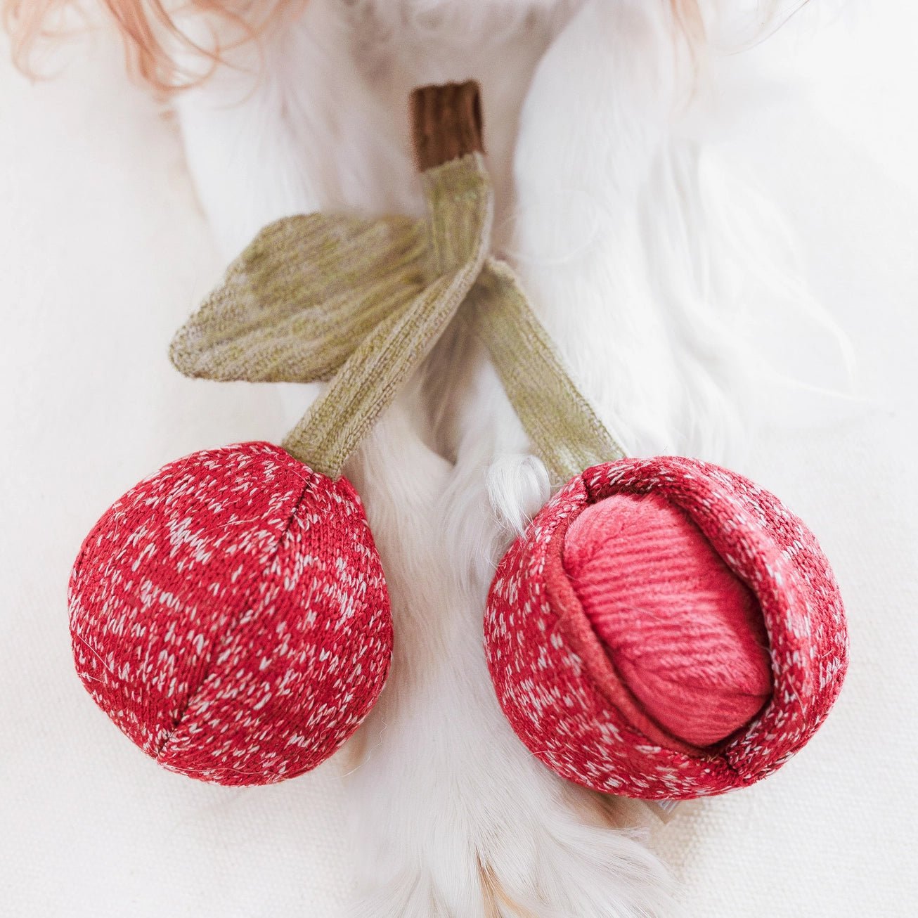 CHERRY POP 🍒 – Le jouet fruité - LAMBWOLF - DOG DéliCAT