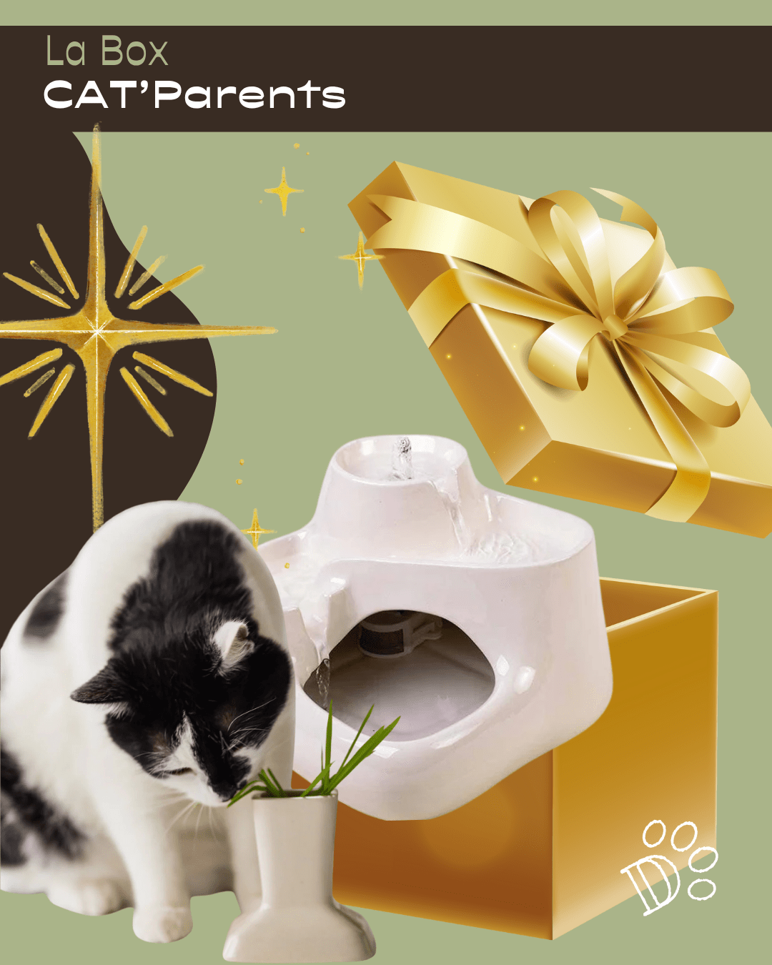 Coffret Cadeau CAT’Parents – Fontaine & Herbe à Chat Naturelle - DOG DéliCAT - DOG DéliCAT