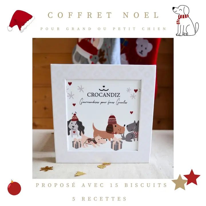 Coffret de Noël pour chien – Financiers artisanaux bio assortis - CROCANDIZ - DOG DéliCAT
