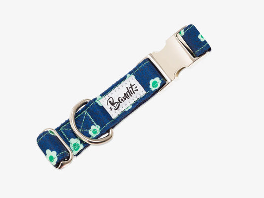 Collier pour chien motif OOPSY DAISY en denim de la marque BANDIT