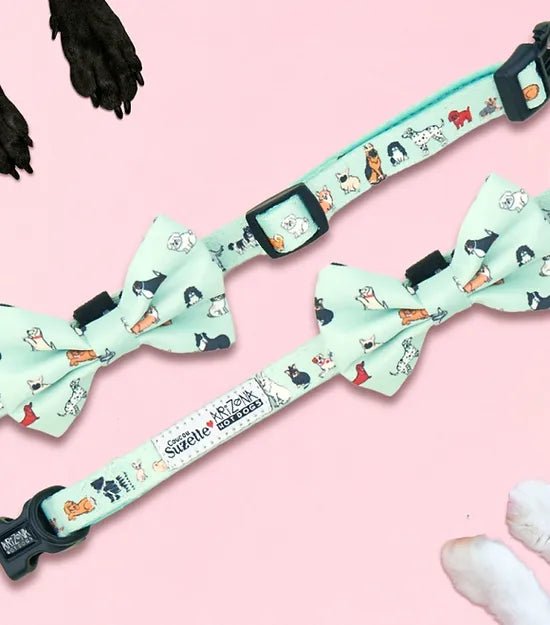 Collier en nylon à motifs pour chien - Coucou Suzette x Arizona Hotdogs - ARIZONA HOT DOGS - DOG DéliCAT