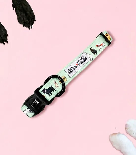 Collier en nylon à motifs pour chien - Coucou Suzette x Arizona Hotdogs - ARIZONA HOT DOGS - DOG DéliCAT