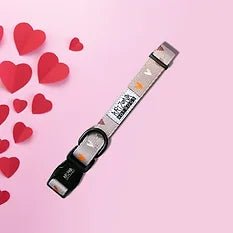 Collier en nylon à motifs pour chien - Sweet Love - ARIZONA HOT DOGS - DOG DéliCAT