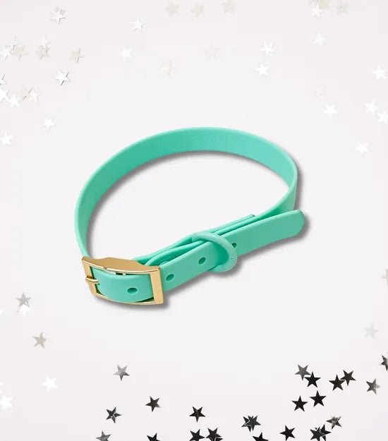 Collier imperméable pour chien Aquarius Turquoise (PVC) - ARIZONA HOT DOGS - DOG DéliCAT