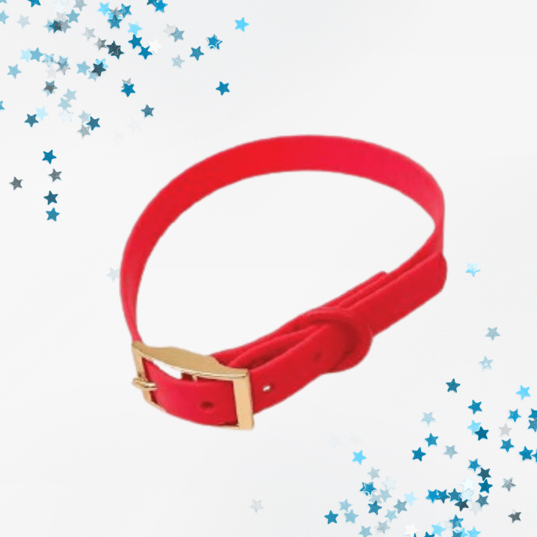 Collier imperméable pour chien Aries Rouge Rosé (PVC) - ARIZONA HOT DOGS - DOG DéliCAT