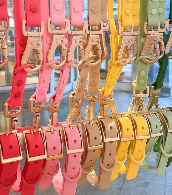 Collier imperméable pour chien Capricornus Bleu Marine (PVC) - ARIZONA HOT DOGS - DOG DéliCAT