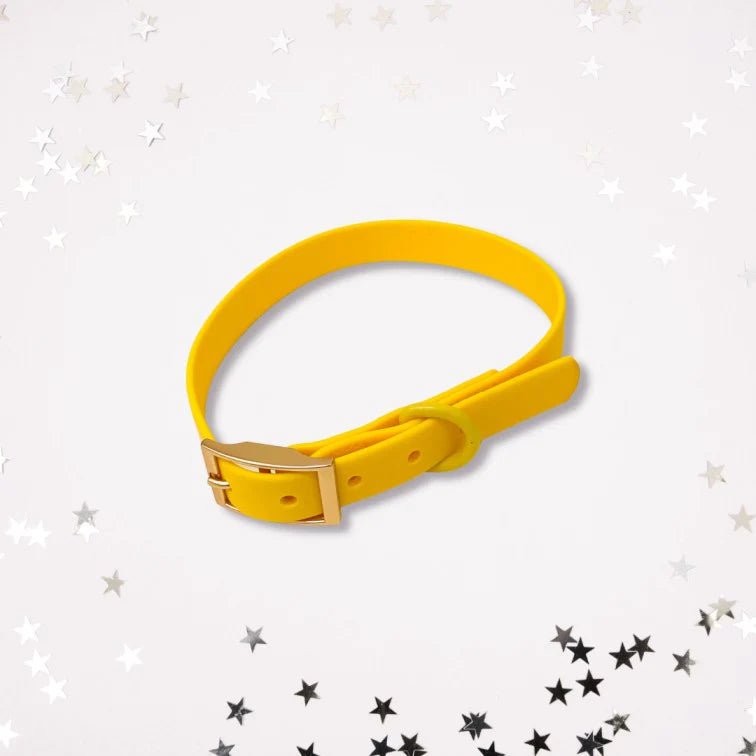 Collier imperméable pour chien Léo jaune (PVC) - ARIZONA HOT DOGS - DOG DéliCAT