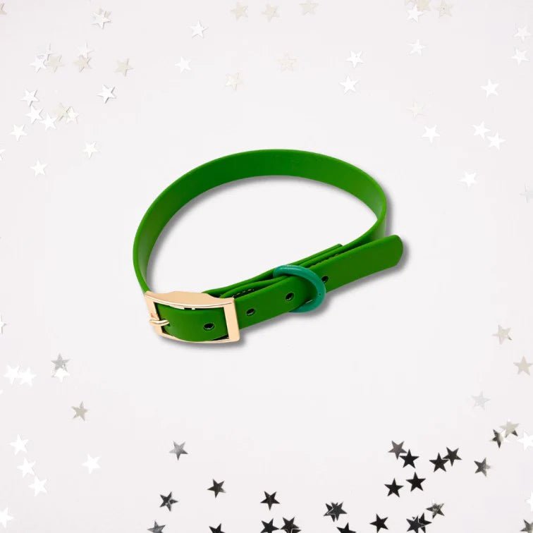 Collier imperméable pour chien Taurus Vert (PVC) - ARIZONA HOT DOGS - DOG DéliCAT