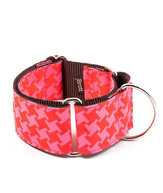 Collier Martingale Miralles pour lévriers - BROTT - DOG DéliCAT