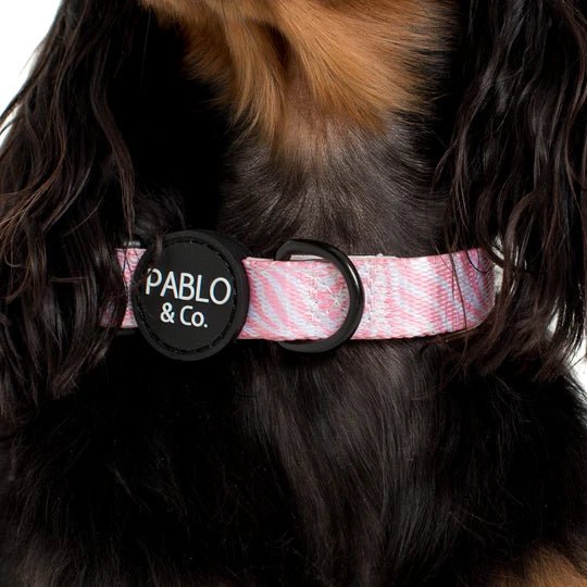 Collier Pink Zebra - PABLO&Co - DOG DéliCAT