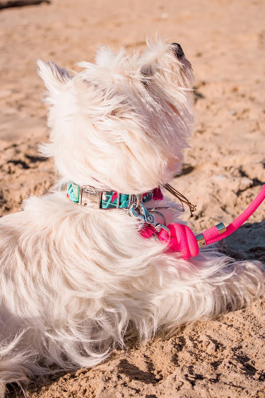 Collier pour chien Anna – fleuri, fait main en France - FRIMOUSSE DOG - DOG DéliCAT
