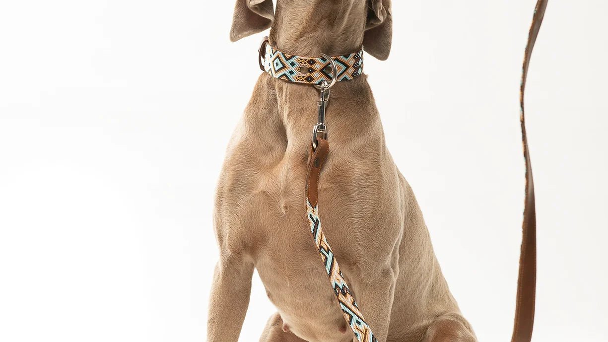 Collier pour chien en cuir brodé Holbox (broderie complète) - MEXIE - DOG DéliCAT