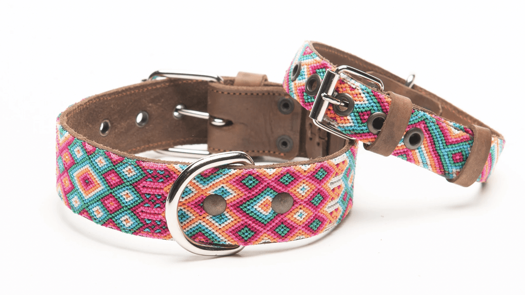 Collier pour chien en cuir brodé Loreto (broderie complète) - MEXIE - DOG DéliCAT