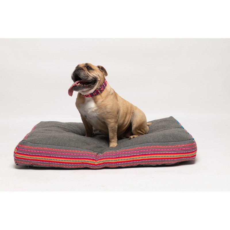 Collier pour chien en cuir brodé Rio Lagartos (broderie complète) - MEXIE - DOG DéliCAT
