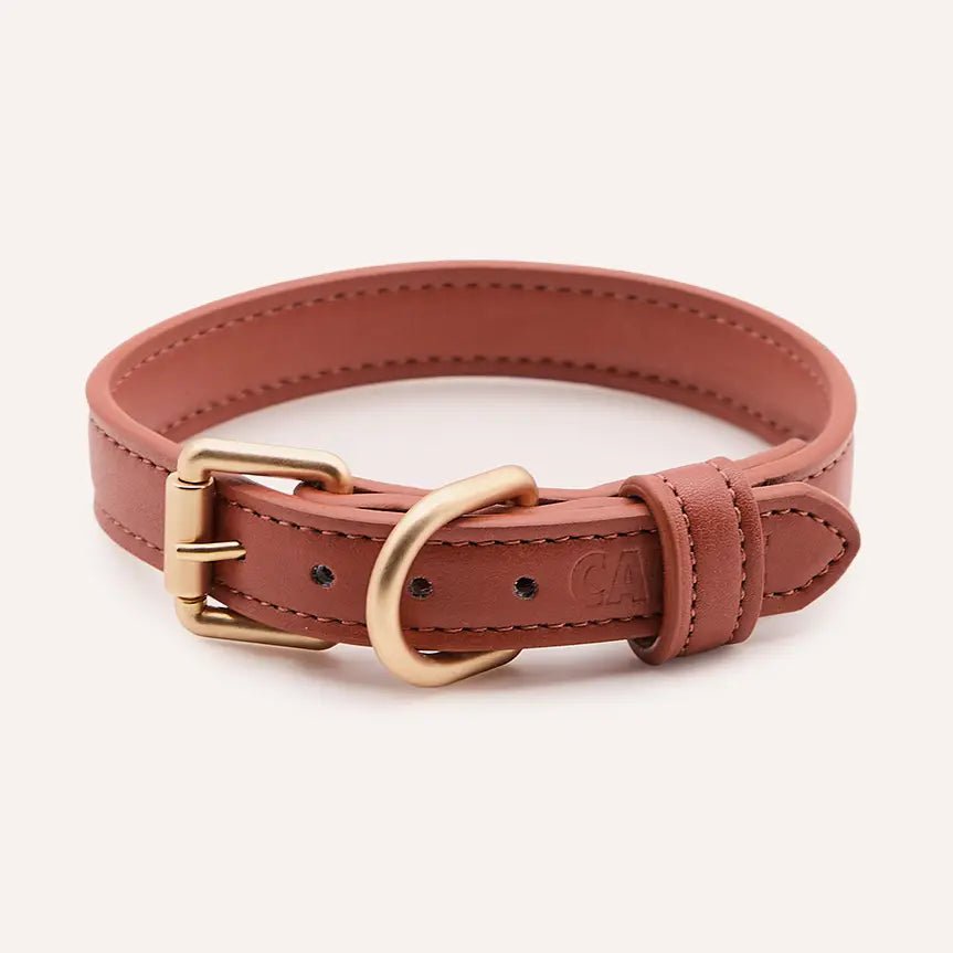 Collier pour Chien en Cuir Vegan Marron Camel – Jala - CAFIDE - DOG DéliCAT