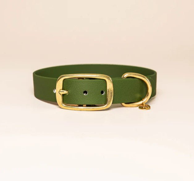 Collier pour chien imperméable "L'aventurier" Fidèle Paris - Vert Olive - FIDELE - DOG DéliCAT