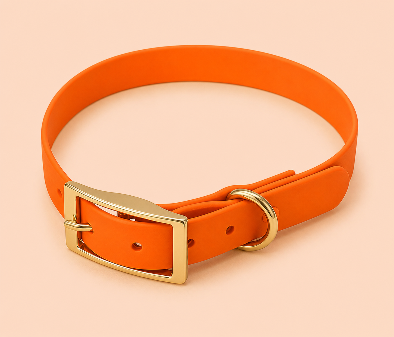 Collier pour chien imperméable Phoenix – Arizona Hot Dogs – DOG DéliCAT