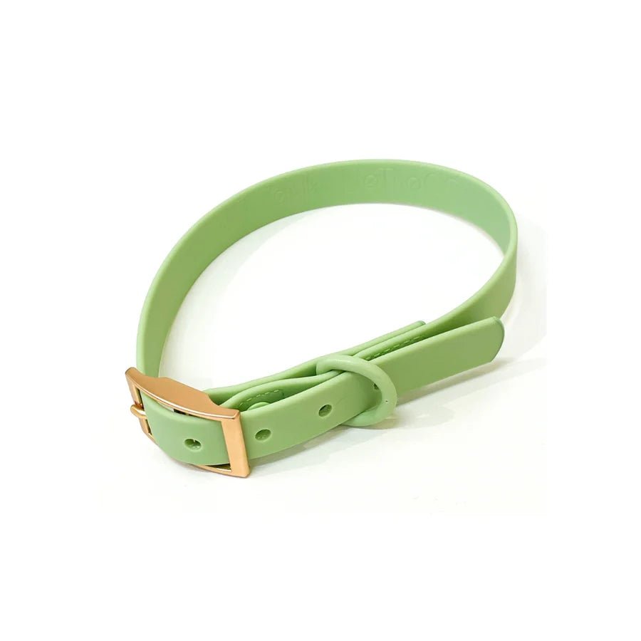 Collier pour chien imperméable PVC Gemini Vert pastel - Arizona Hotdogs - DOG DéliCAT