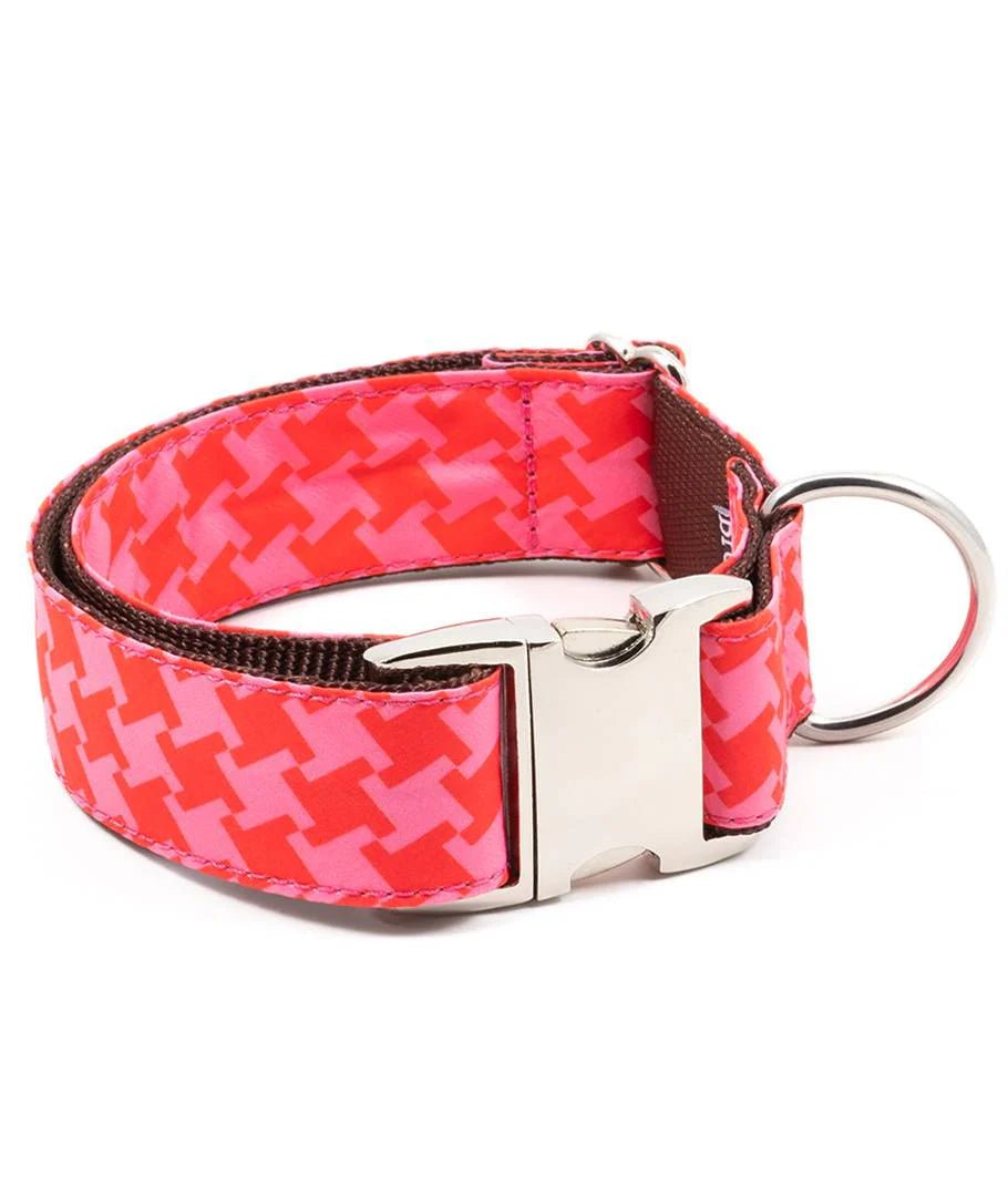 Collier pour chien imprimé Miralles - BROTT - DOG DéliCAT