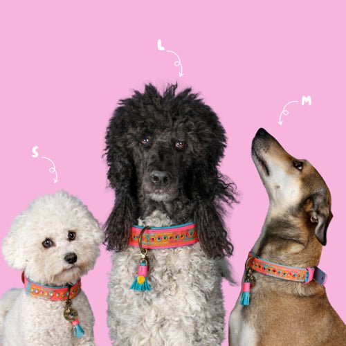 Collier pour chien Indian Summer - DWAM | Style boho & paillettes - DOG WITH A MISSION - DOG DéliCAT