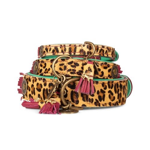 Collier pour chien Lou Lou avec imprimé léopard - DOG WITH A MISSION - DOG DéliCAT